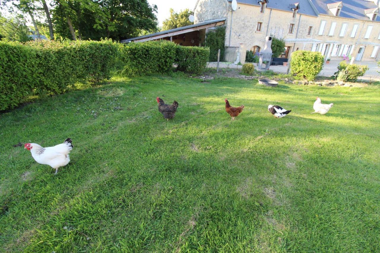 La Ferme Aux Chats Formigny Exterior photo